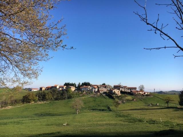 Vila Gite De Chenieux Saint-Victor-sur-Loire Exteriér fotografie